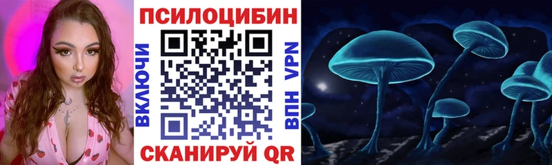 Галлюциногенные грибы мицелий  наркотики  Ардон 